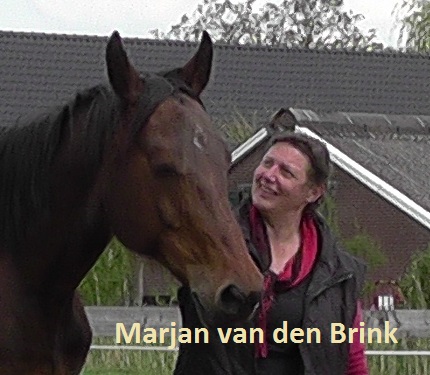 Bevoegd trainer Marjan van den Brink
